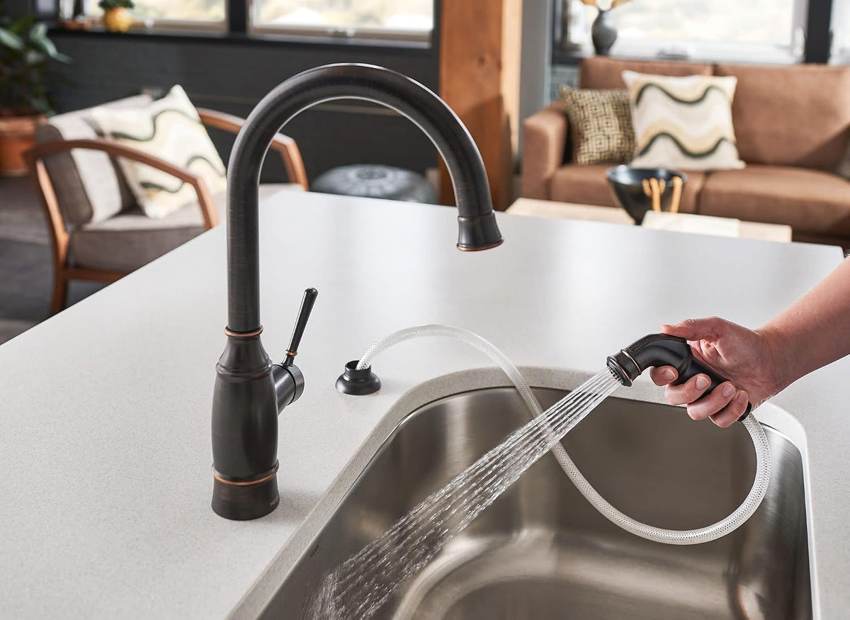 Moen Noell 1-Handle Kitchen Faucet with Side Sprayer, 87506BRB